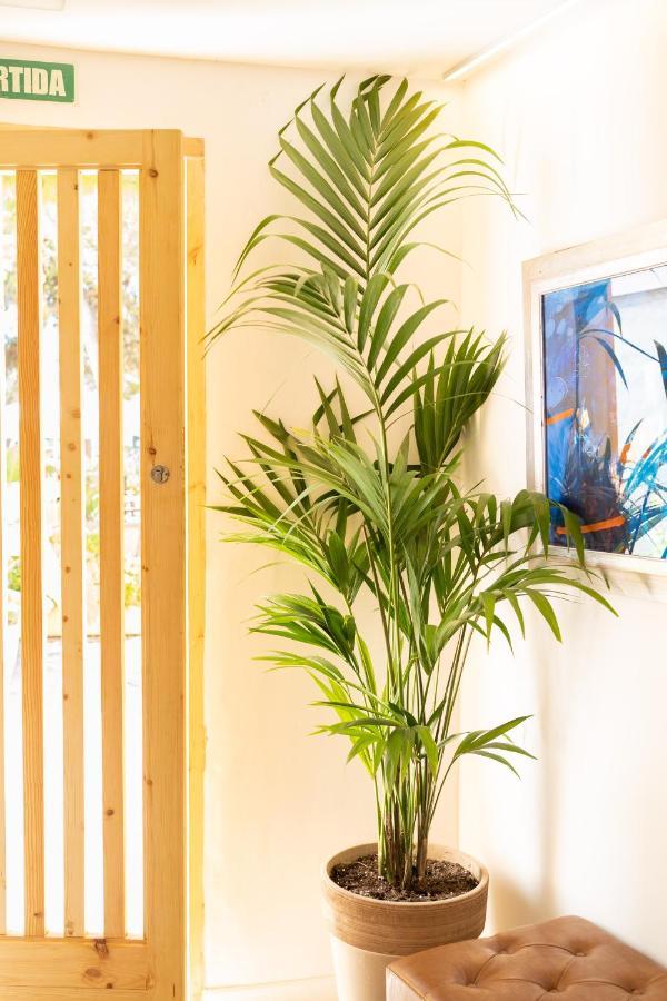 Sitges Beach Hostal Esterno foto
